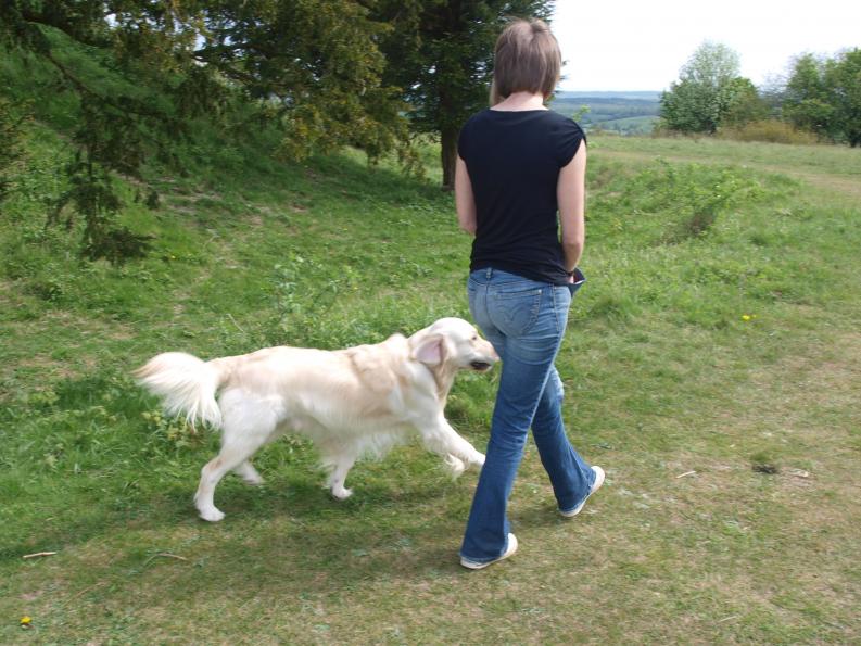 verbal non verbal behaviours cues autism
